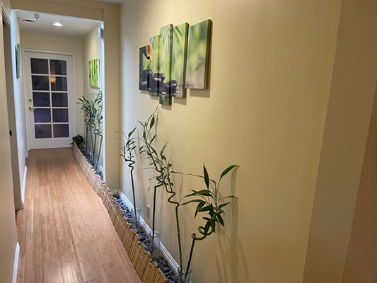 Chiropractic Santa Monica CA Office Hallway